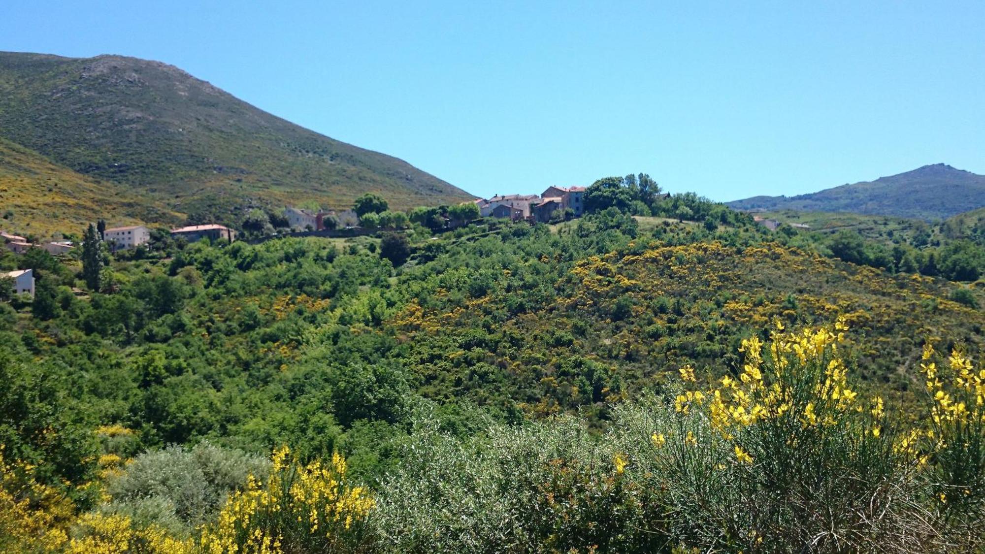 U Nebbiu Oletta (Corsica)